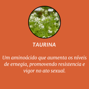 feno-grego-2.png